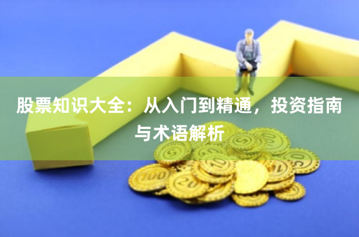 股票知识大全：从入门到精通，投资指南与术语解析